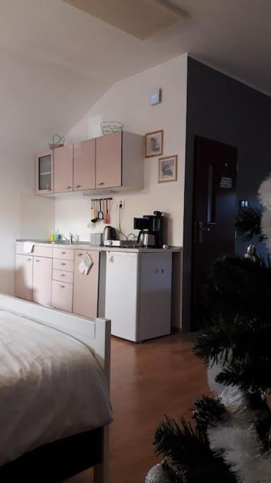Apartman Lastovicka สตารา เลชนา ภายนอก รูปภาพ